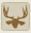 Mula deer