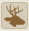 Mexican White Tail